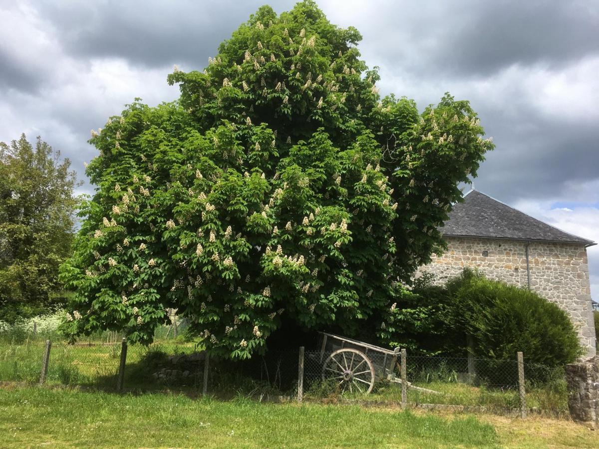 Les Pipistrelles 19 - Chambre D'Hotes Meymac Exterior foto